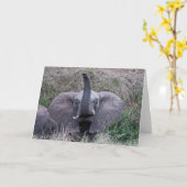 エレファントハローカード カード (黄色い花)