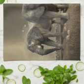 エレファントハンターオンサファリ キッチンタオル (折り畳み)