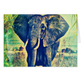 エレファントパームズ