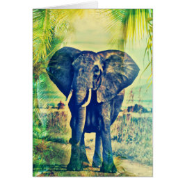 エレファントパームズ