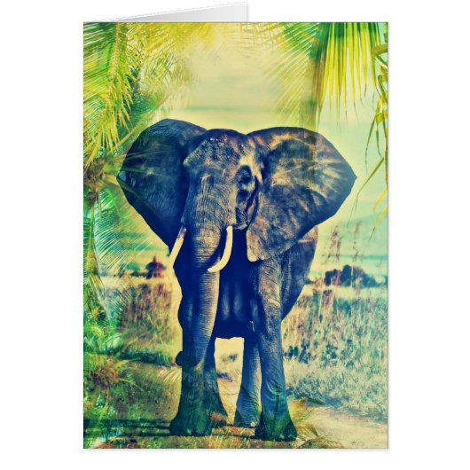 エレファントパームズ (正面)