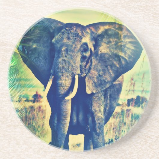 エレファントパームズ コースター (正面)