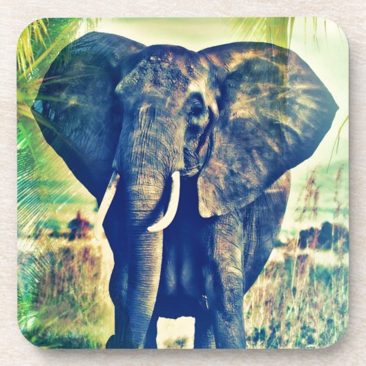 エレファントパームズ コースター (正面)