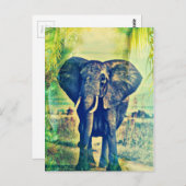 エレファントパームズ ポストカード (正面/裏面)