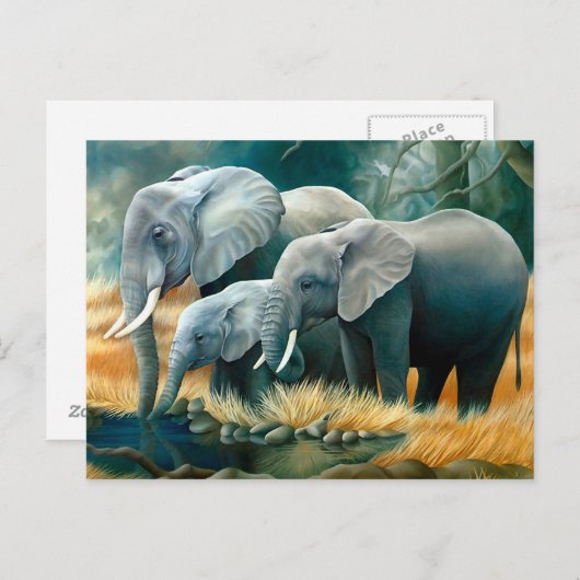 エレファントファミリーサファリポストカード ポストカード (正面/裏面)