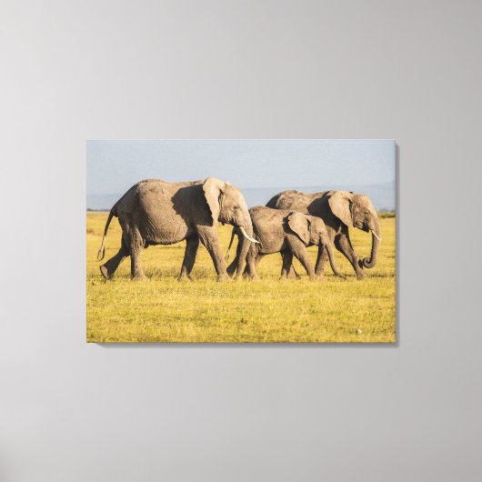 エレファントファミリー歩く キャンバスプリント (正面)