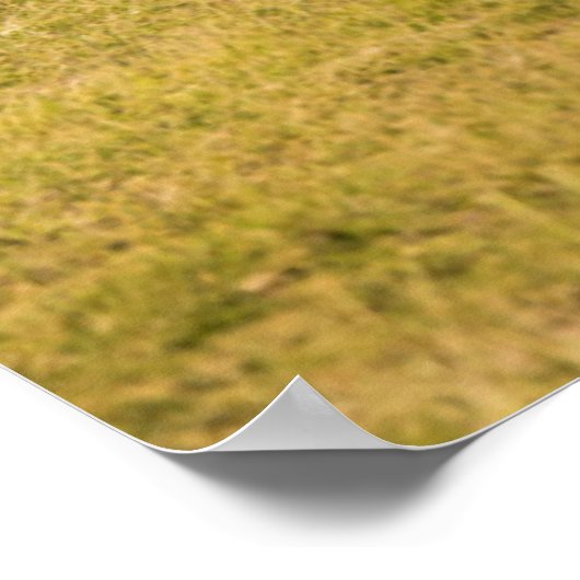 エレファントファミリー歩く ポスター (角)