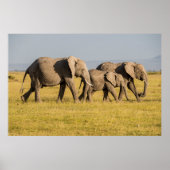 エレファントファミリー歩く ポスター (正面)