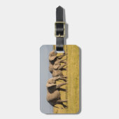 エレファントファミリー歩く ラゲッジタグ (正面縦)