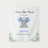 エレファントブルースターズボーイベビーシャワー背景 タペストリー (正面)