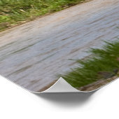 エレファントポスター ポスター (角)