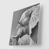 エレファントポートレート スクエア壁時計 (傾斜)