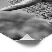 エレファントポートレート ポスター (コーナー)