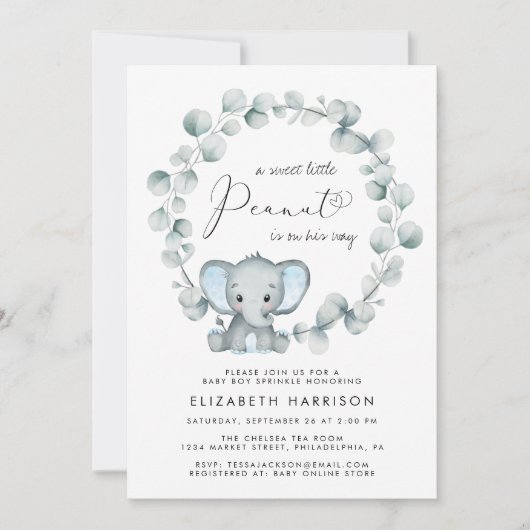 エレファントユーカリ男の赤ちゃん散水 招待状 (正面)
