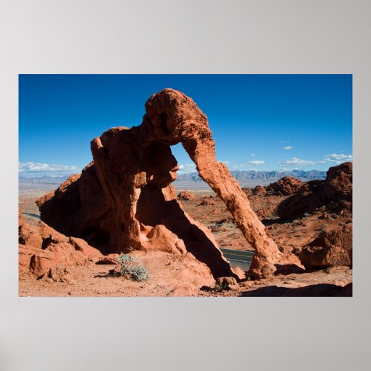 エレファントロック ポスター (正面)