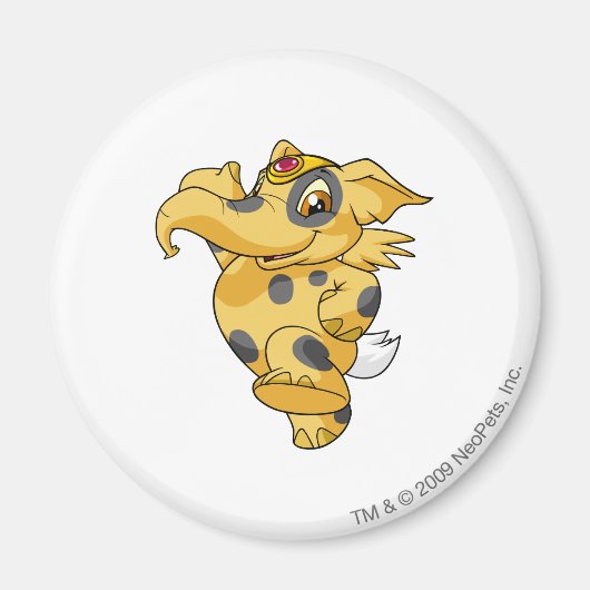 エレファント斑点 マグネット (正面)