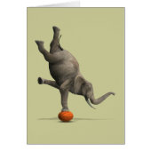 エレファ芸術的ント (正面)