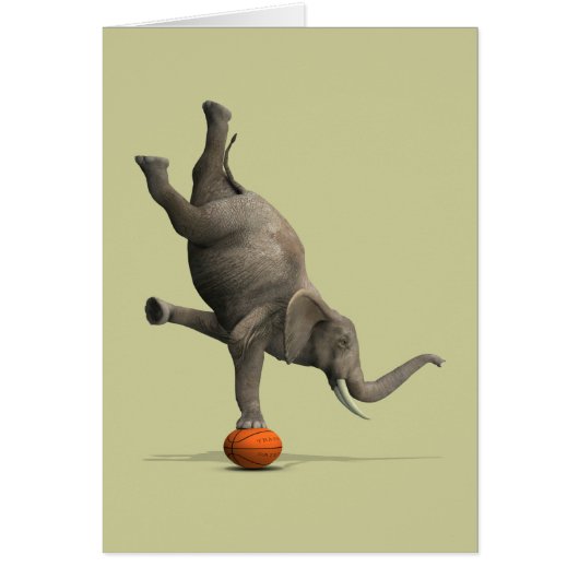 エレファ芸術的ント (正面)