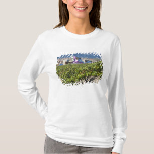 エレベーテッドタウンビューアンドホテルマルケスデリスカル Tシャツ