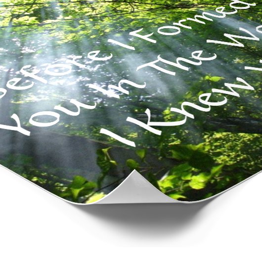 エレミヤ1:5 – 森 ポスター (角)