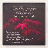 エレミヤ29:11わたしはあなたのために持っている計画を知っている ガラスコースター (正面)