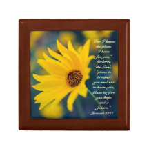 エレミヤ29:11わたしはあなたのために持っている計画を知っている