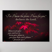 エレミヤ29:11わたしはあなたのために持っている計画を知っている ポスター (正面)