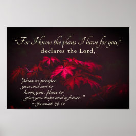 エレミヤ29:11わたしはあなたのために持っている計画を知っている ポスター