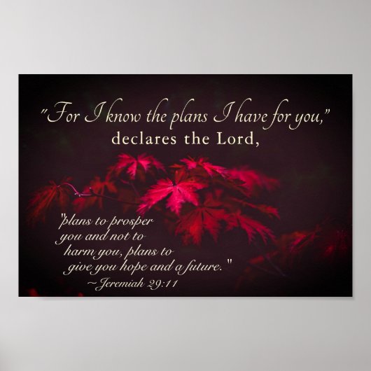 エレミヤ29:11わたしはあなたのために持っている計画を知っている ポスター (正面)