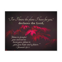 エレミヤ29:11わたしはあなたのために持っている計画を知っている