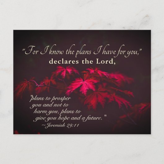 エレミヤ29:11わたしはあなたのために持っている計画を知っている ポストカード (正面)