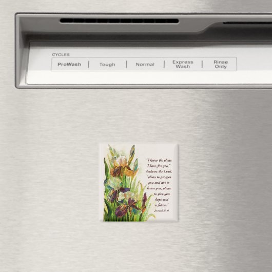 エレミヤ29:11わたしはあなたのために持っている計画を知っている マグネット (インサイチュ (食洗機))