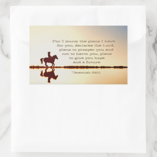 エレミヤ29:11わたしはあなたのために持っている計画を知っている 長方形シール (バッグ)