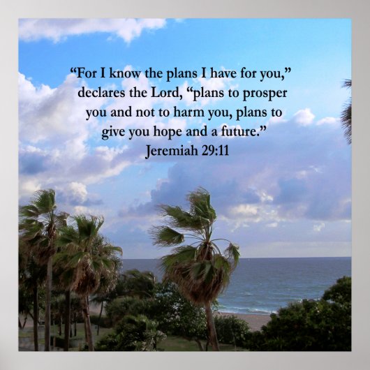 エレミヤ29:11感動的節 ポスター (正面)