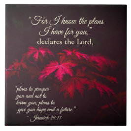 エレミヤ29:11 私はあなたがたのために立てた計画を知っている タイル
