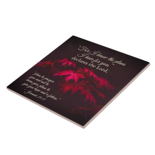 エレミヤ29:11 私はあなたがたのために立てた計画を知っている タイル (側面)