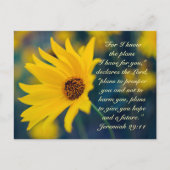 エレミヤ29:11、私はあなたのために持っている計画を知っている ポストカード (正面)