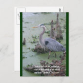 エレミヤ29:13聖なる書物、 経典はがき ポストカード (正面/裏面)