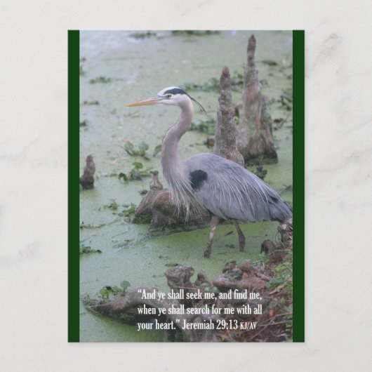 エレミヤ29:13聖なる書物、 経典はがき ポストカード (正面)