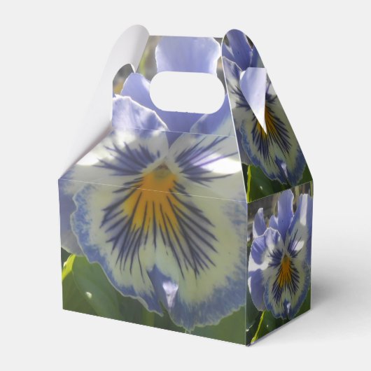 エロイズ フェイバーボックス (正面サイド)