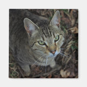 エロス マグネット (正面)