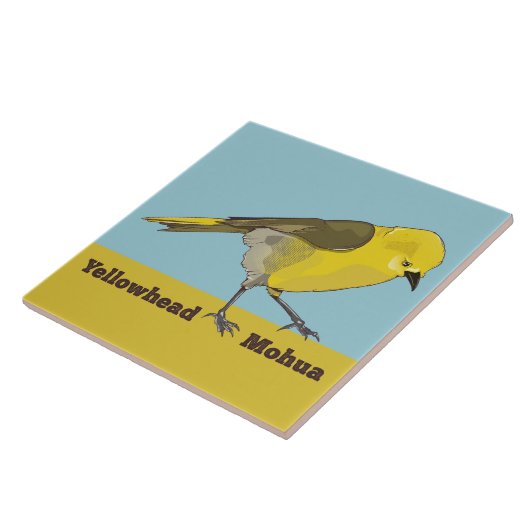 エロホエッド・モワ タイル (側面)