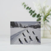 エンガディンダシュント3月 ポストカード (スタンド正面)