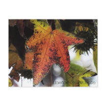 エンシーノカリフォルニア