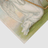 エンジェルウィズハープティッシュペーパー 薄葉紙 (詳細)