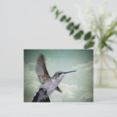 エンジェルウィングス – シリーズ ポストカード (スタンド正面)