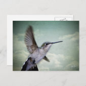 エンジェルウィングス – シリーズ ポストカード (正面/裏面)