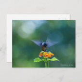 エンジェルウィングス ポストカード (正面/裏面)