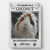 エンジェルウィングス&モルモット手ペット記念写真 フォトプラーク (正面)