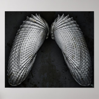 エンジェルウィングスBW ポスター